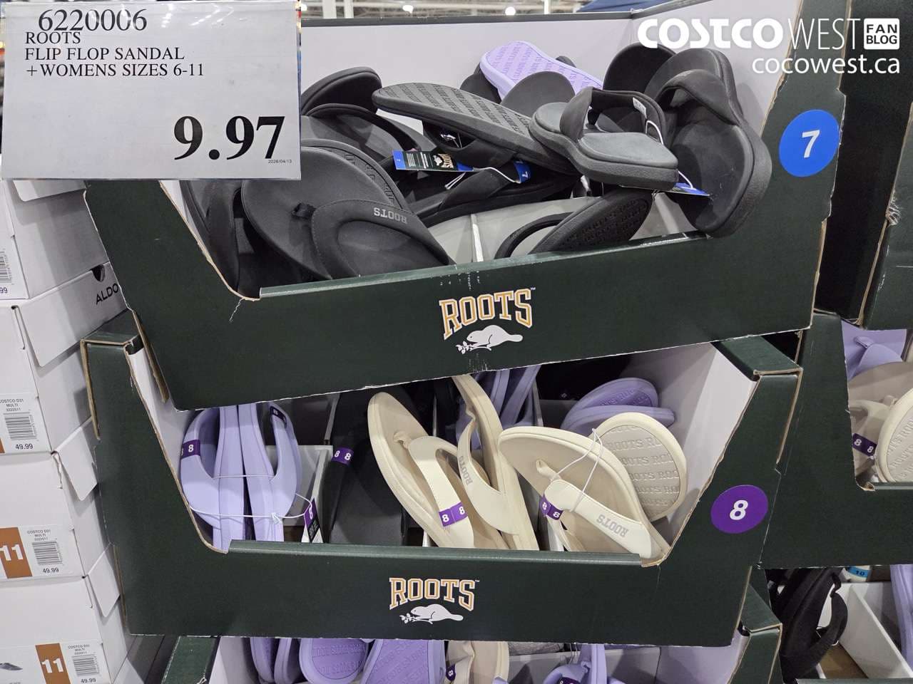 ROOTS FLIP FLOP SANDAL + WOMENS SIZES 6-11