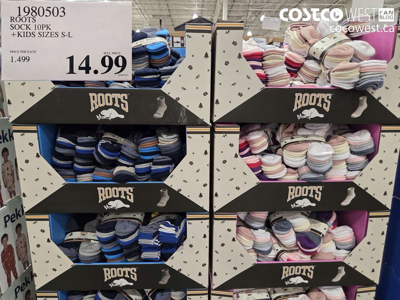 ROOTS SOCK 10PK +KIDS SIZES S-L