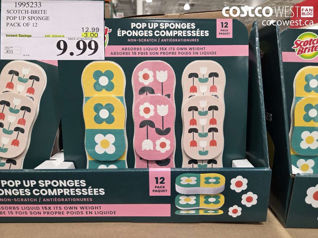 SCOTCH-BRITE POP UP SPONGE PACK OF 12