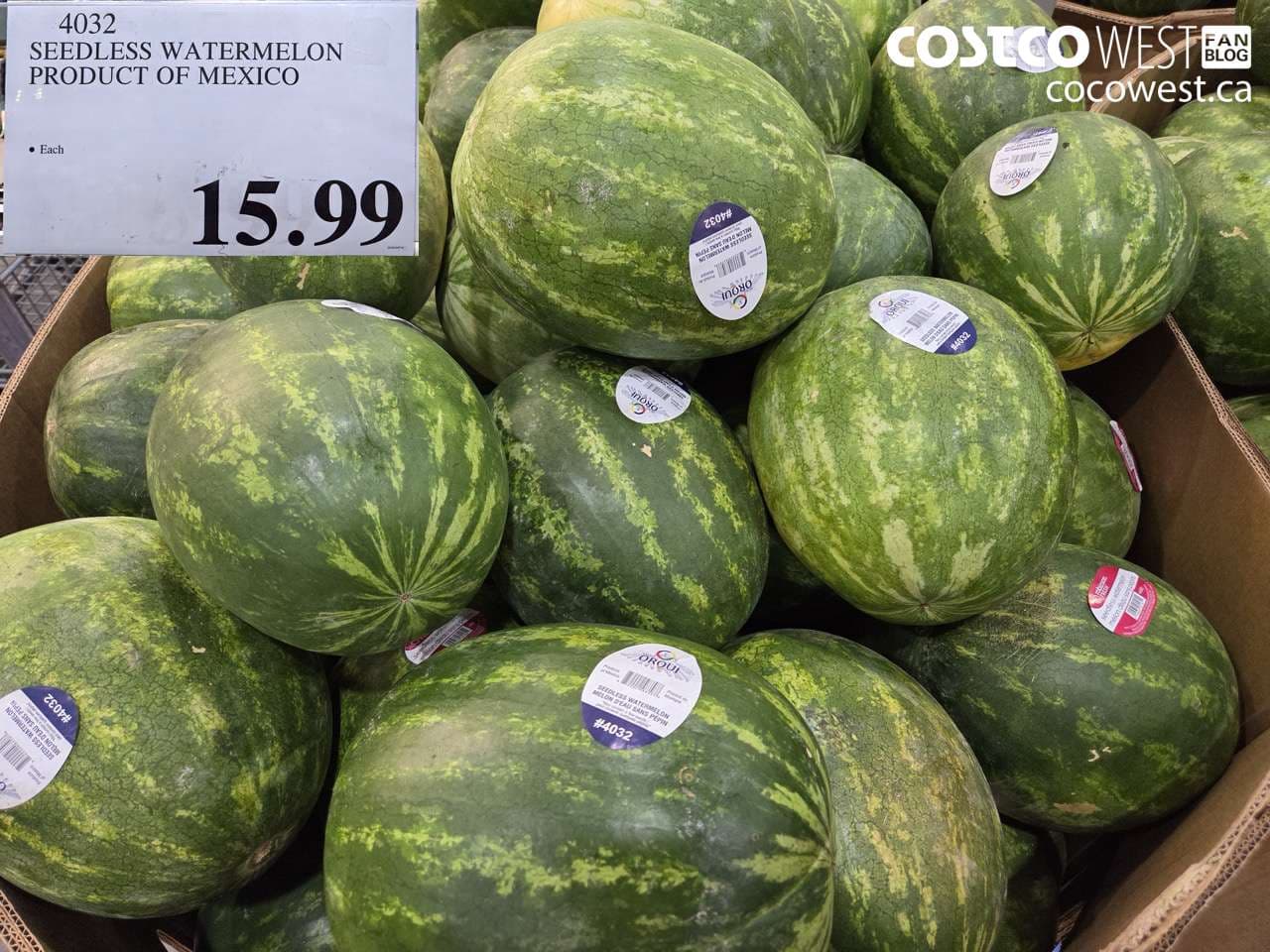 SEEDLESS WATERMELON PRODUCT OF MEXICO