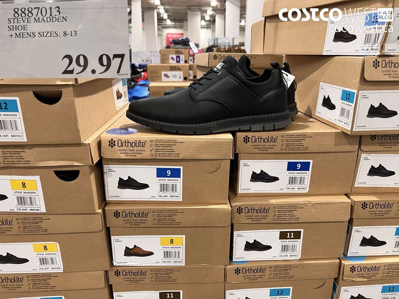 STEVE MADDEN SHOE +MENS SIZES: 8-13