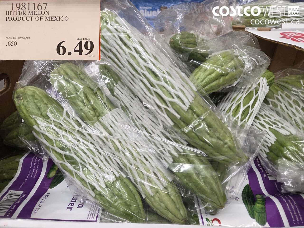 BITTER MELON PRODUCT OF MEXICO