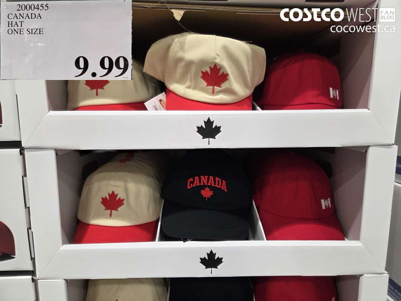CANADA HAT ONE SIZE