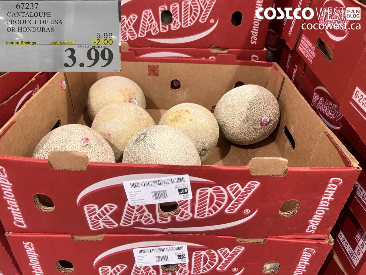 CANTALOUPE PRODUCT OF USA OR HONDURAS