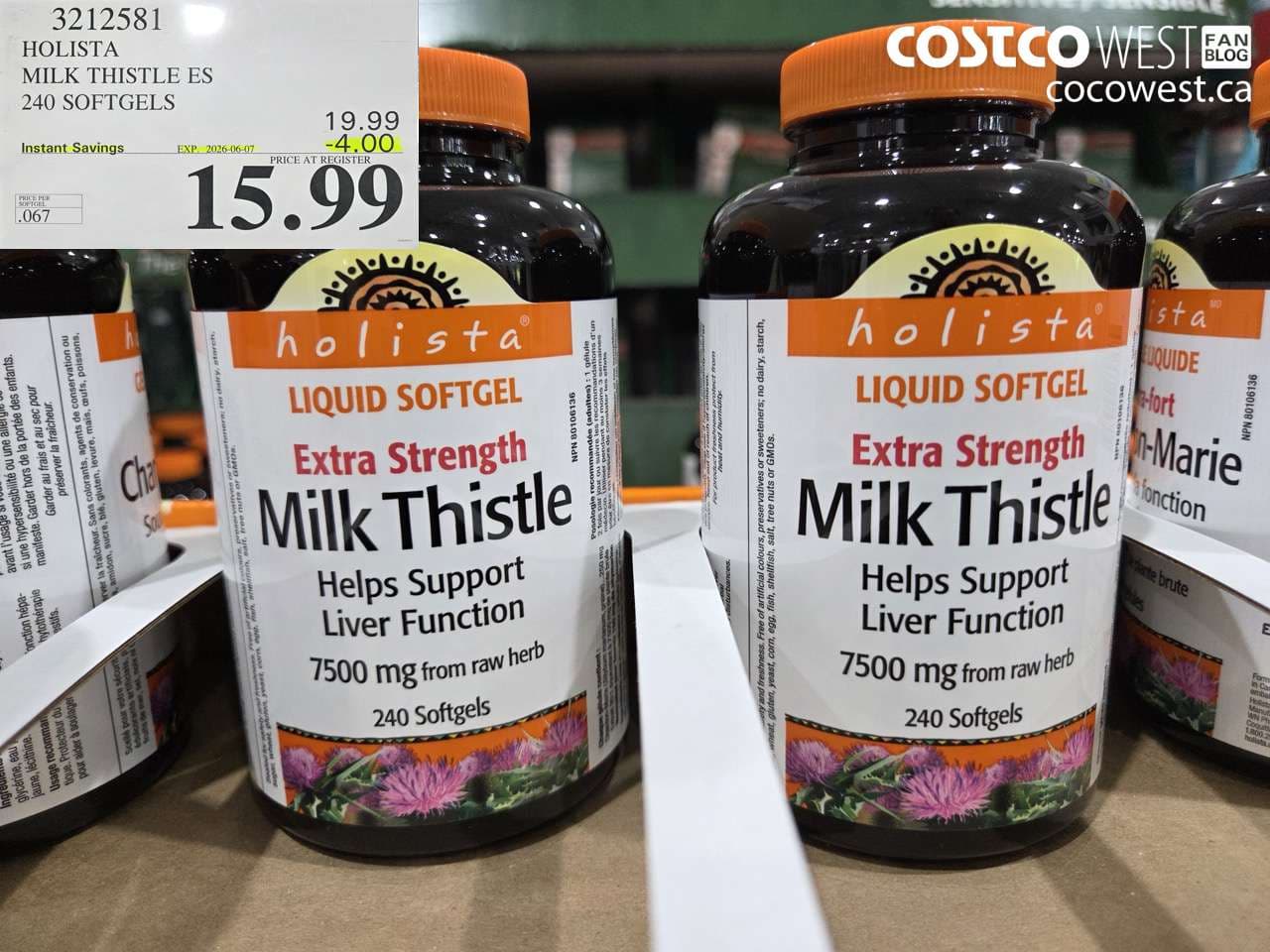 HOLISTA MILK THISTLE ES 240 SOFTGELS