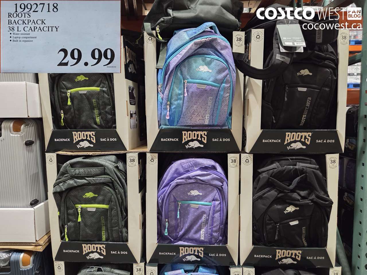 ROOTS BACKPACK 38 L CAPACITY