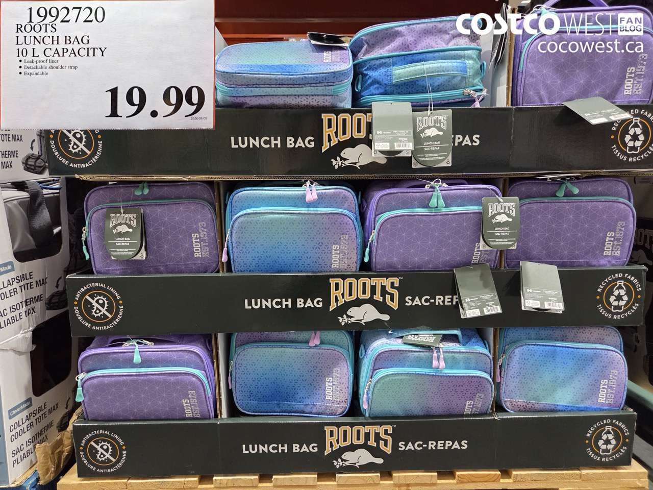 ROOTS LUNCH BAG 10 L CAPACITY