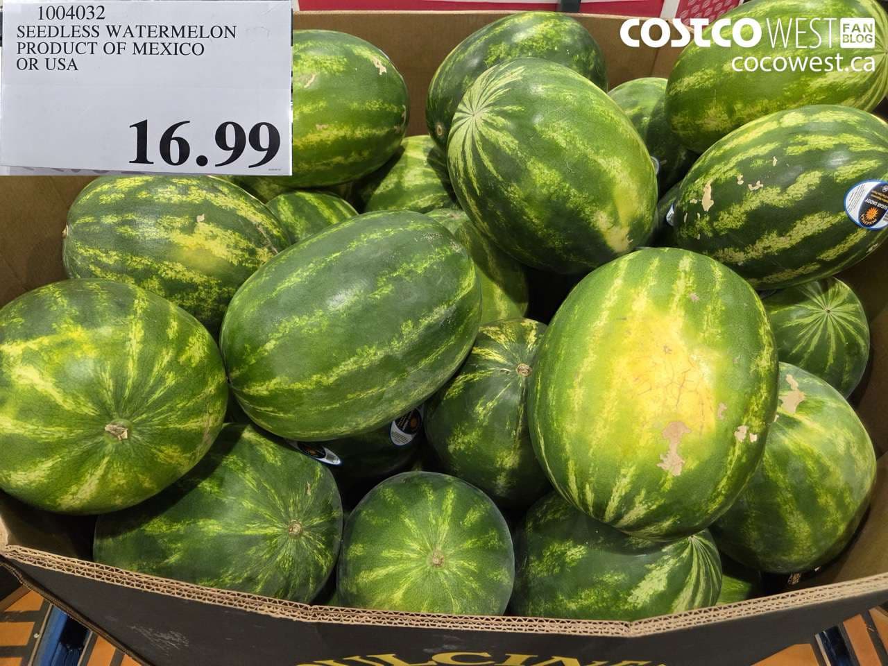 SEEDLESS WATERMELON PRODUCT OF MEXICO OR USA