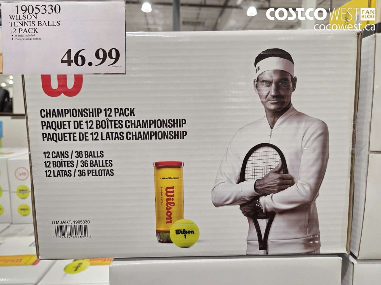 WILSON TENNIS BALLS 12 PACK