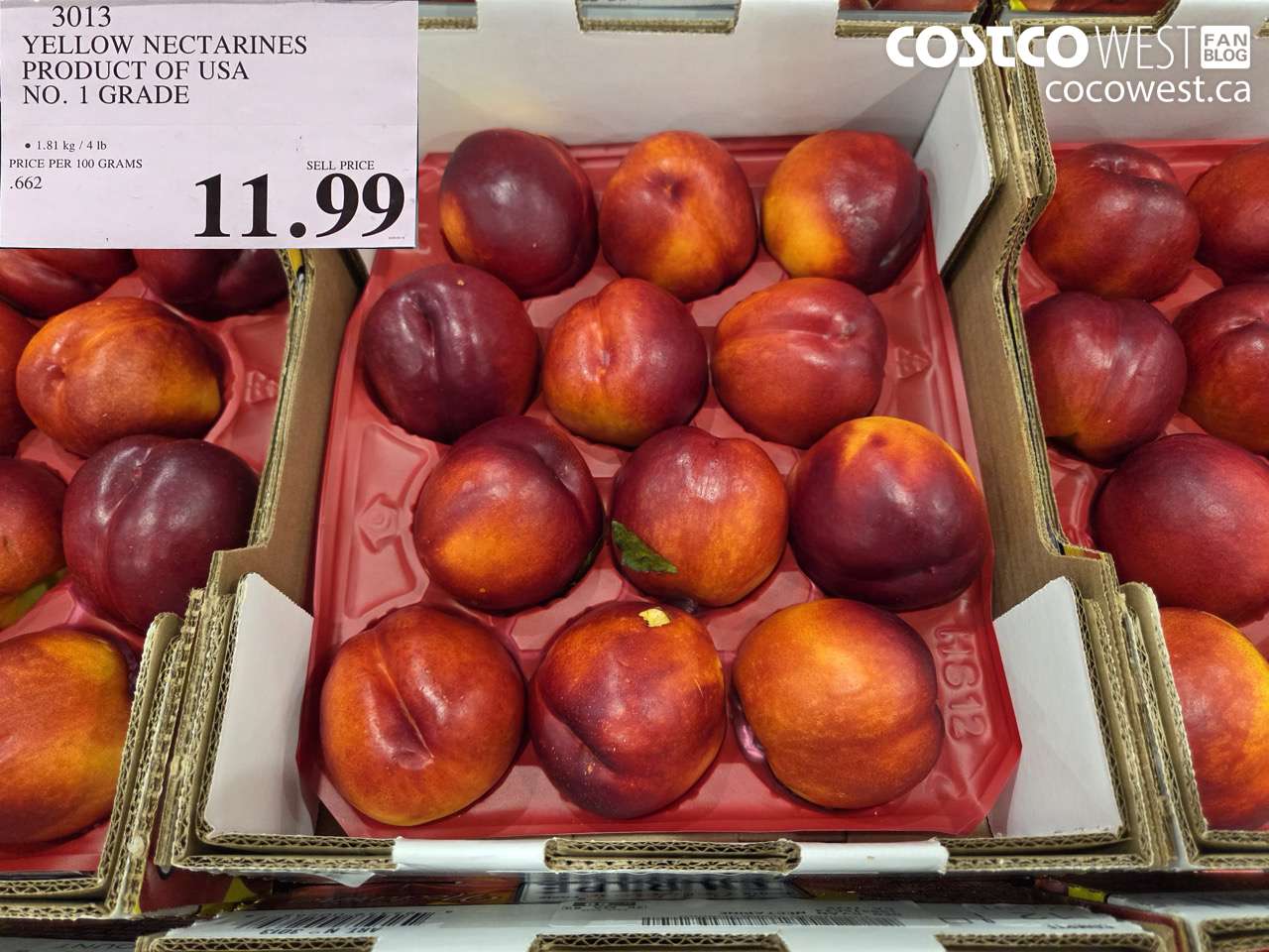 YELLOW NECTARINES PRODUCT OF USA NO. 1 GRADE