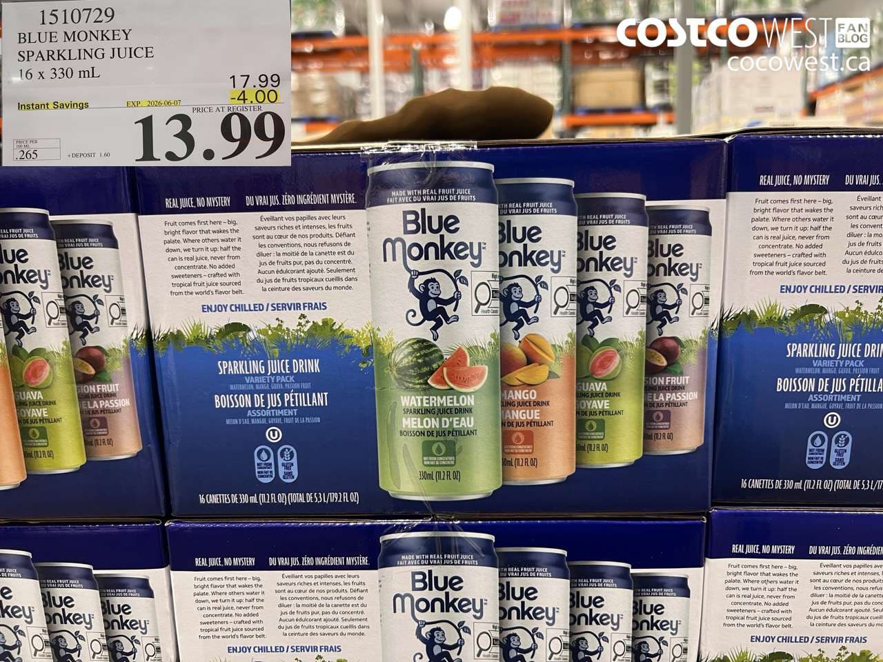 BLUE MONKEY SPARKLING JUICE 16 X 330 ML