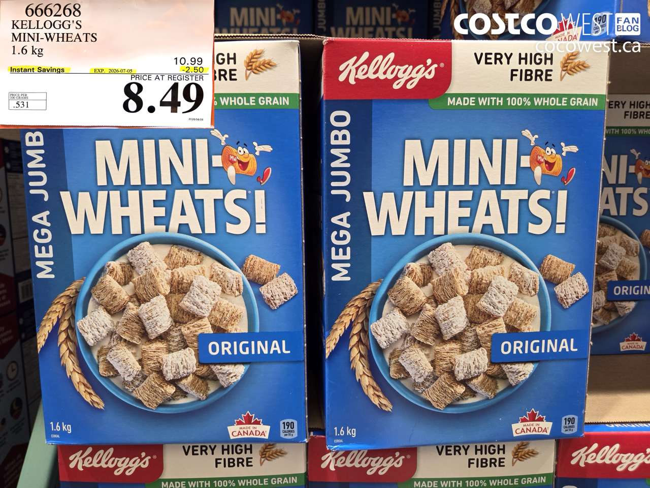 kelloggs miniwheats 16 kg