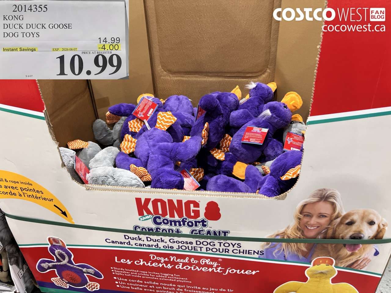 kong duck duck goose dog toys