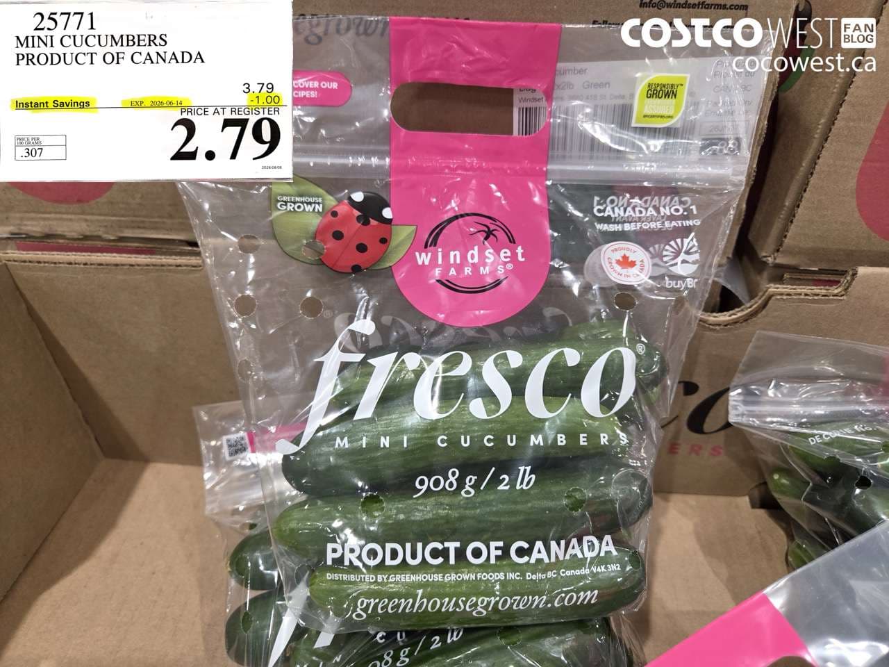mini cucumbers product of canada