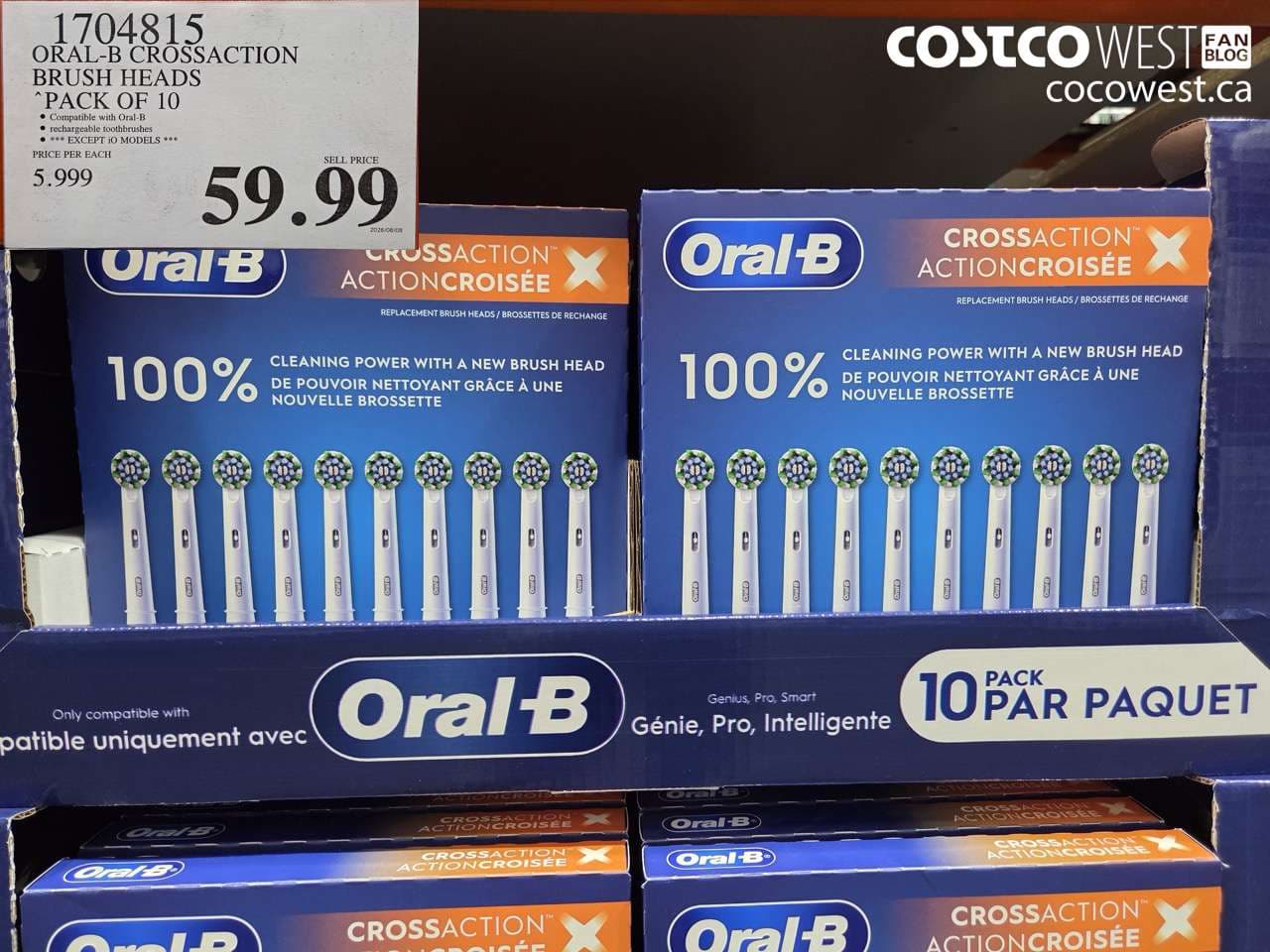 oralb crossaction brush heads pack of 10