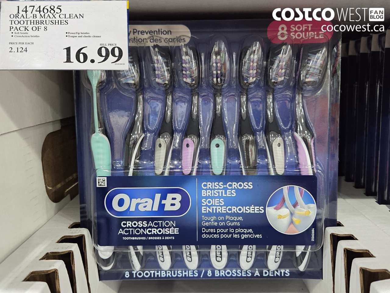 oralb max clean toothbrushes pack of 8