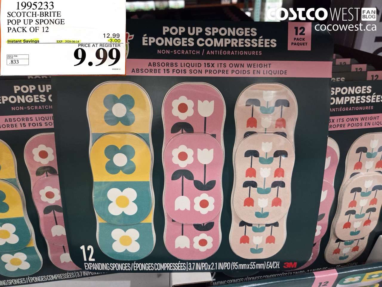 scotchbrite pop up sponge pack of 12