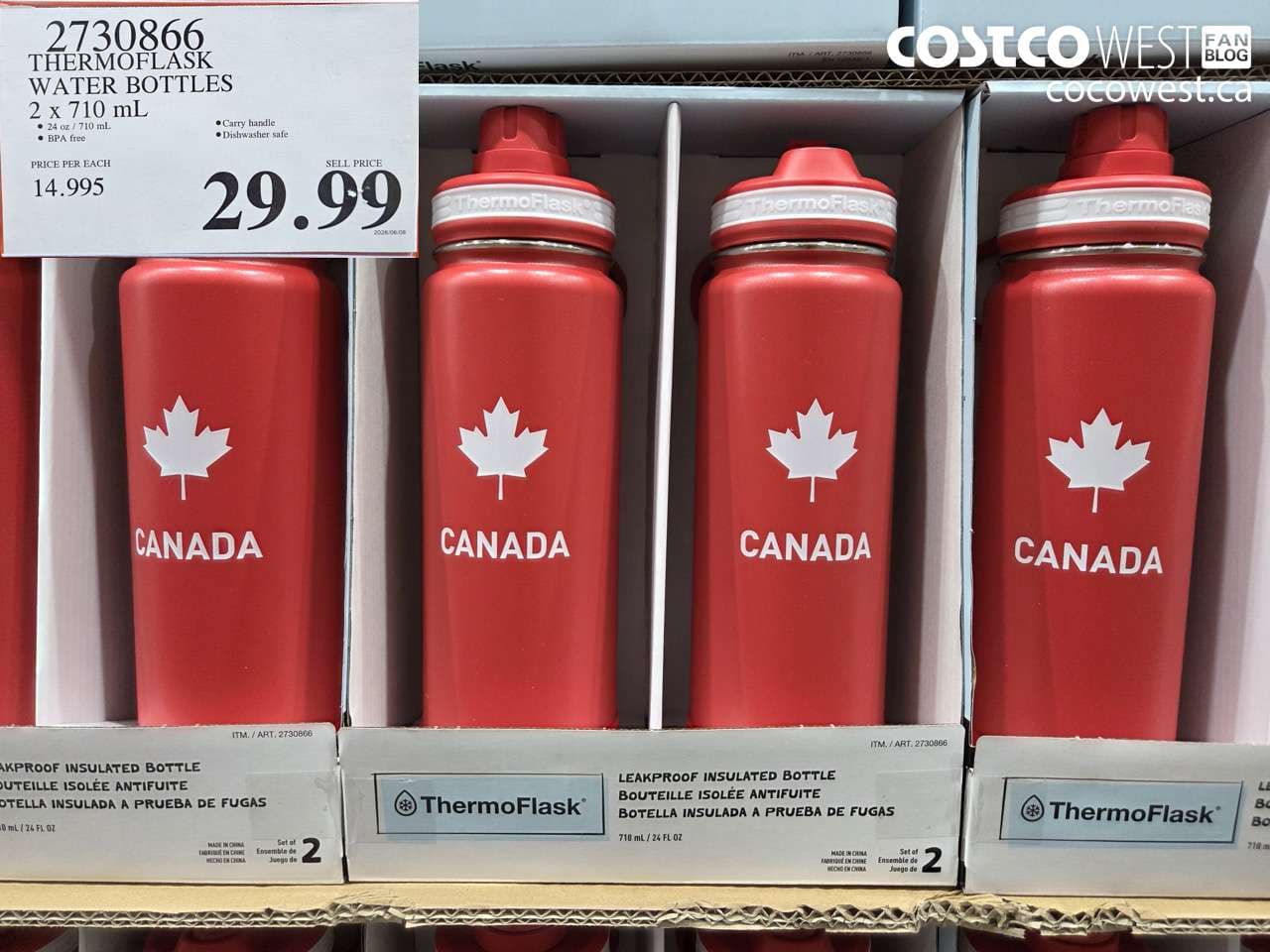 THERMOFLASK WATER BOTTLES 2 X 710 ML