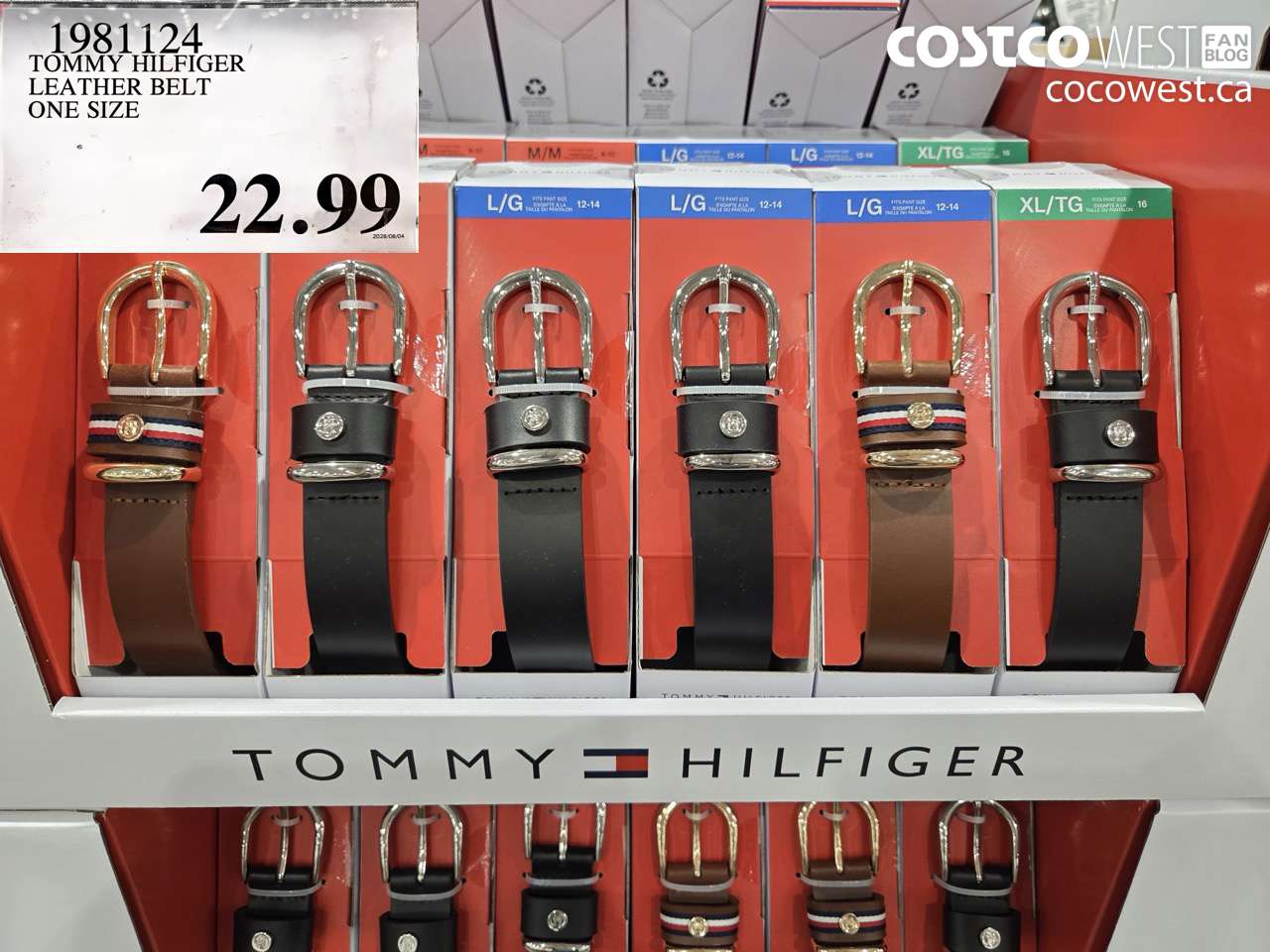 TOMMY HILFIGER LEATHER BELT ONE SIZE