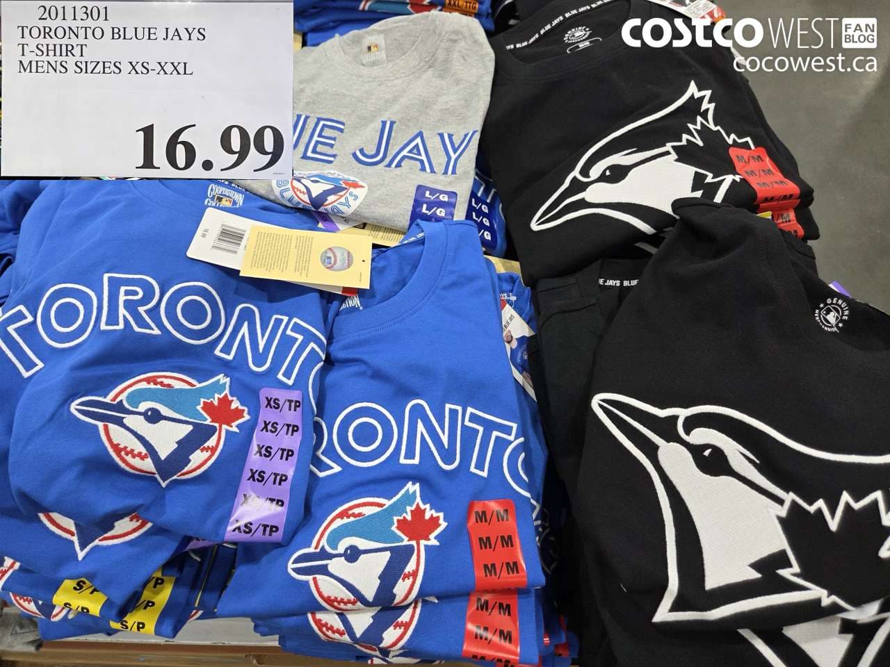 TORONTO BLUE JAYS T-SHIRT MENS SIZES XS-XXL