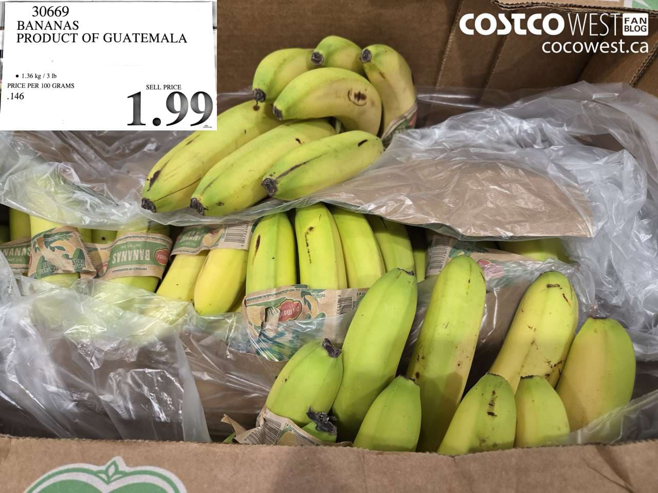 BANANAS PRODUCT OF GUATEMALA