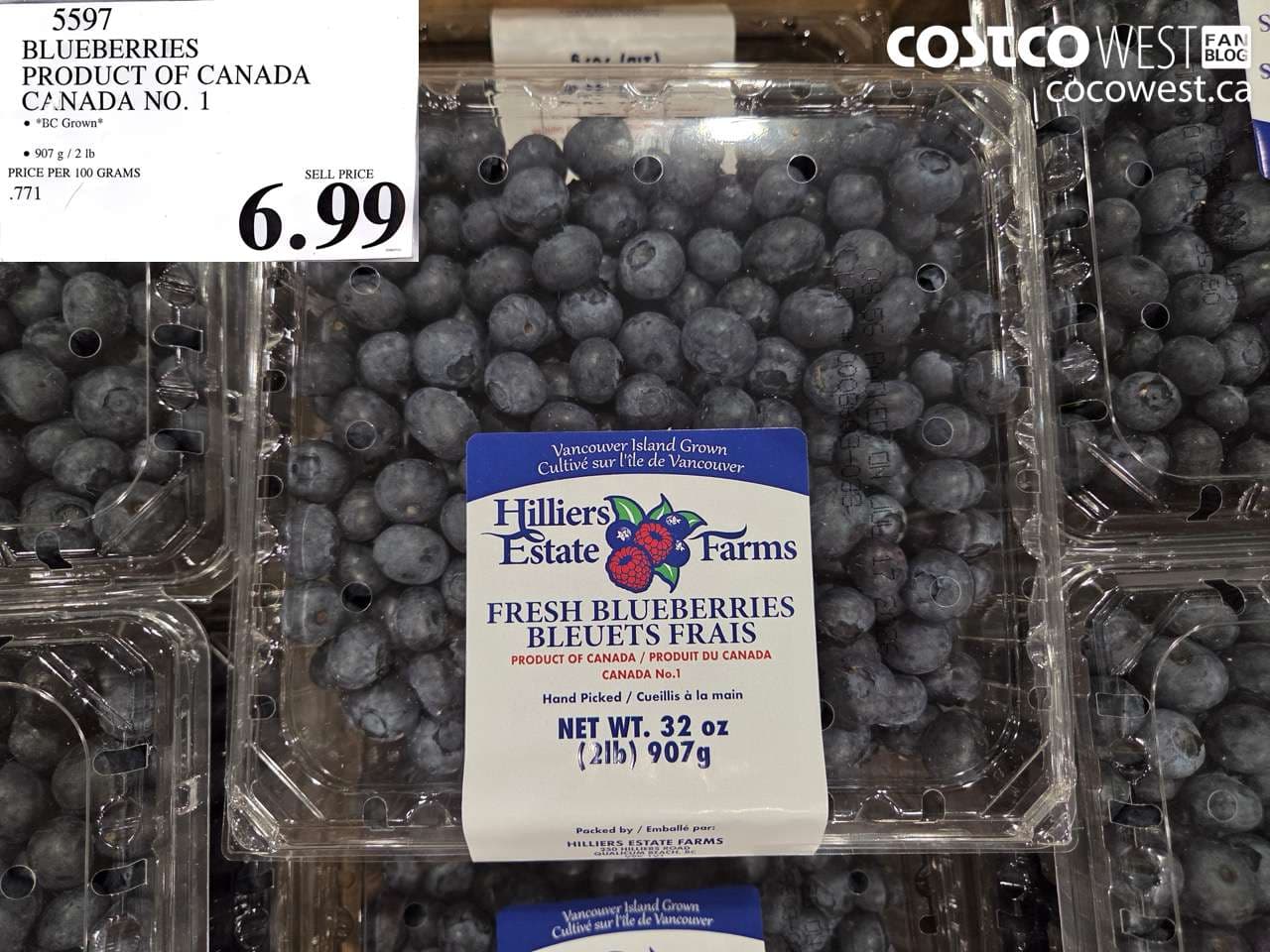 BLUEBERRIES PRODUCT OF CANADA CANADA NO. 1