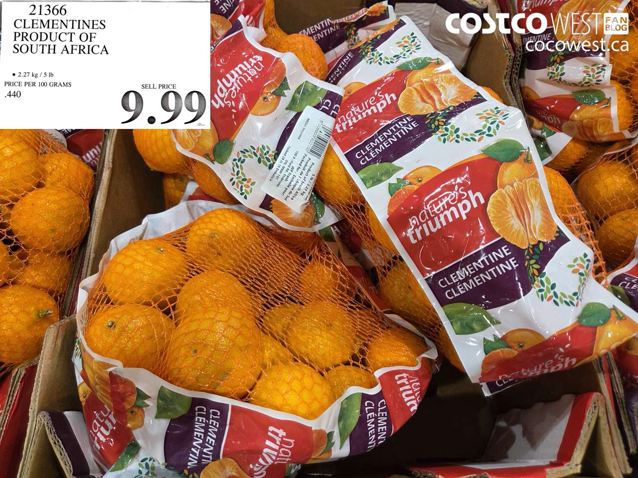 CLEMENTINES PRODUCT OF SOUTH AFRICA