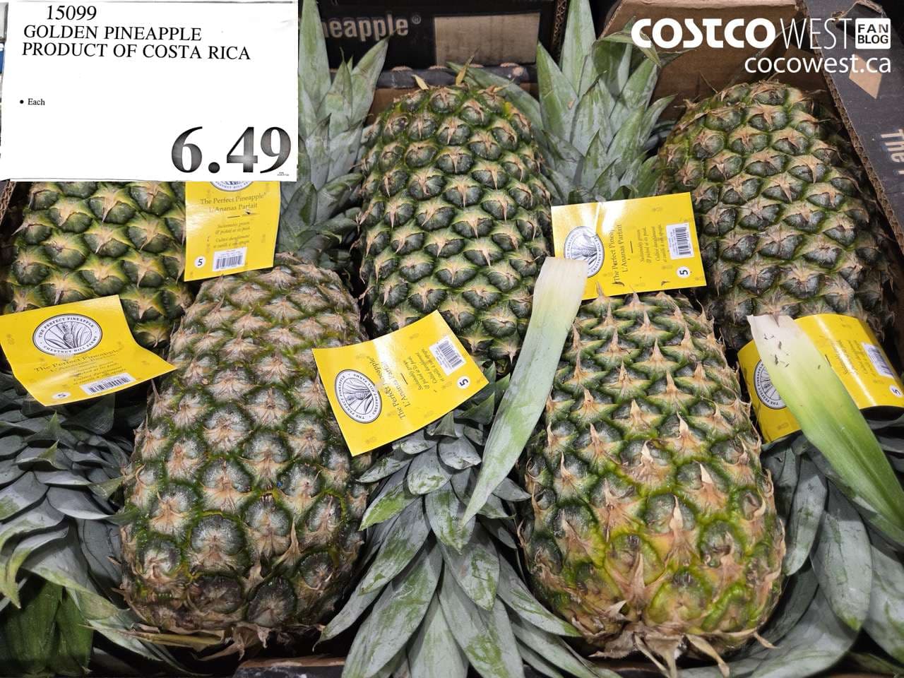 GOLDEN PINEAPPLE PRODUCT OF COSTA RICA