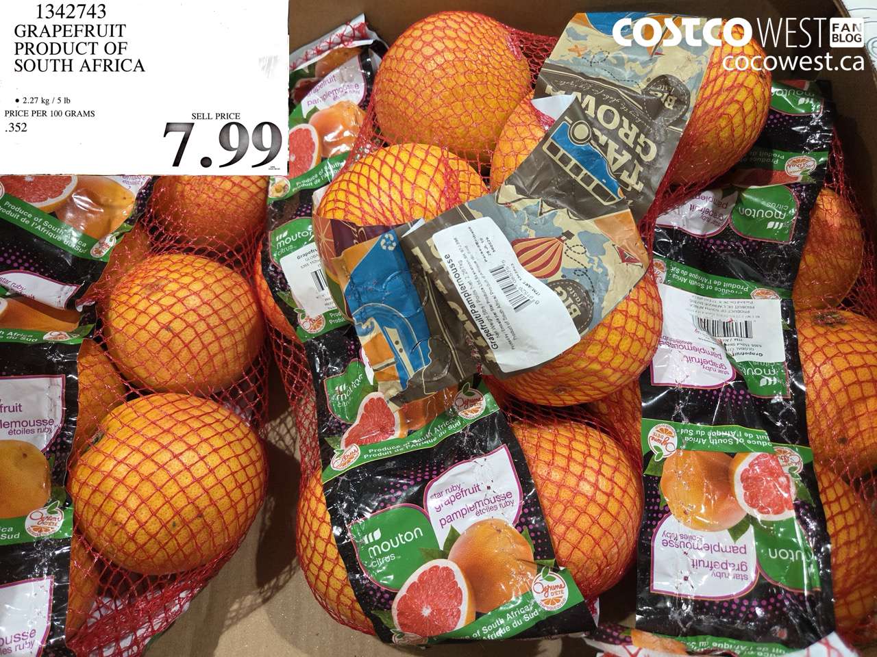 GRAPEFRUIT PRODUCT OF SOUTH AFRICA