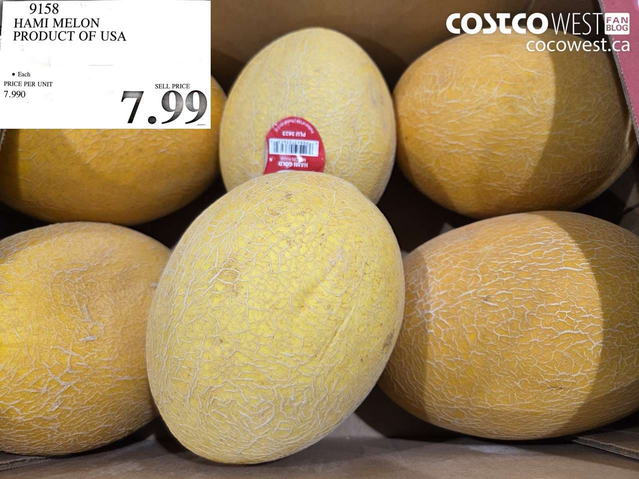HAMI MELON PRODUCT OF USA
