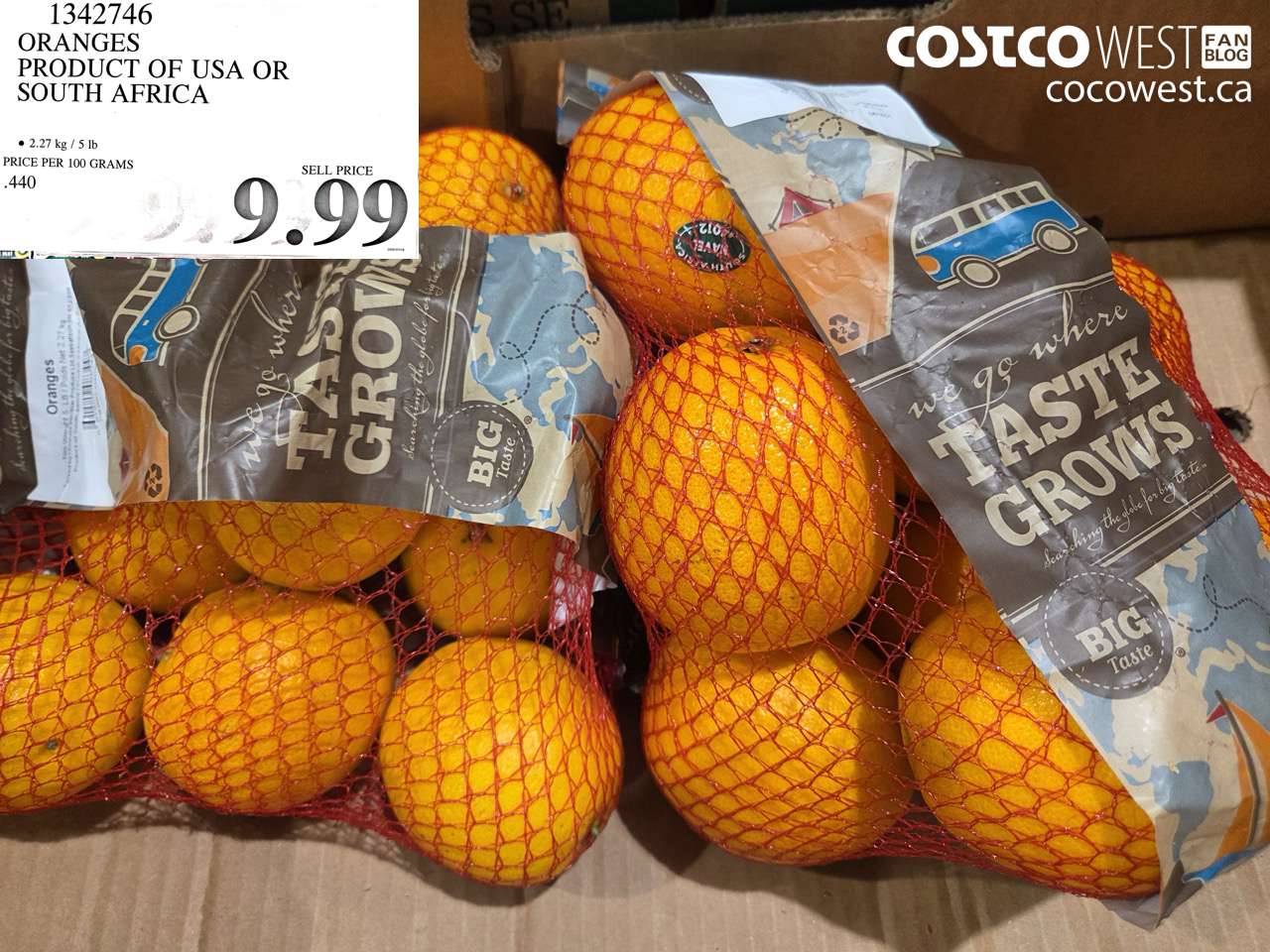 ORANGES PRODUCT OF USA OR SOUTH AFRICA