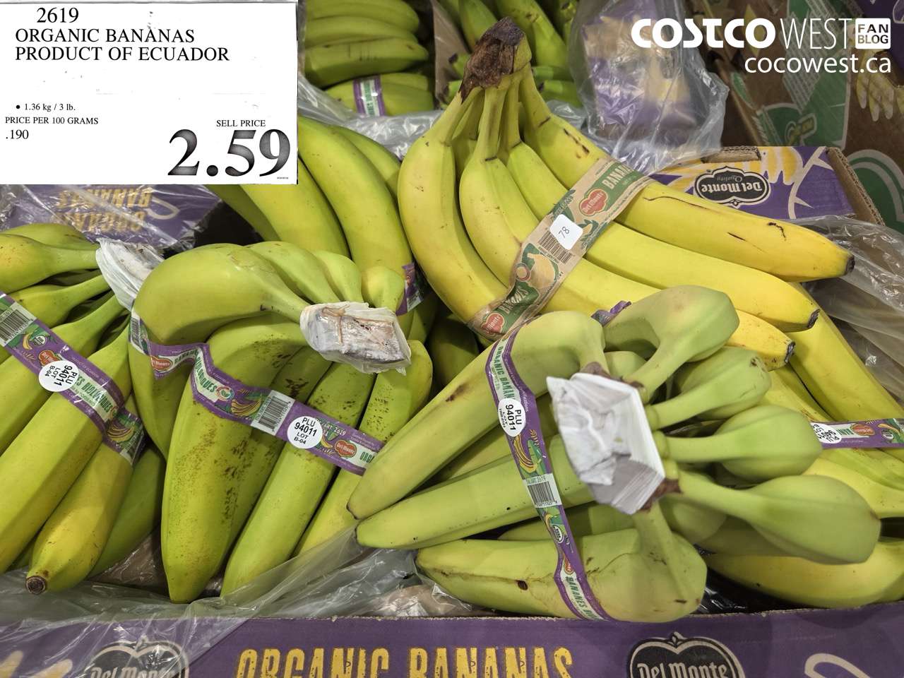 ORGANIC BANANAS PRODUCT OF ECUADOR