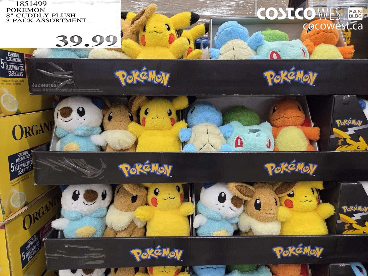 POKEMON