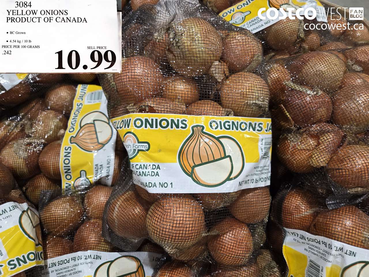 YELLOW ONIONS PRODUCT OF CANADA