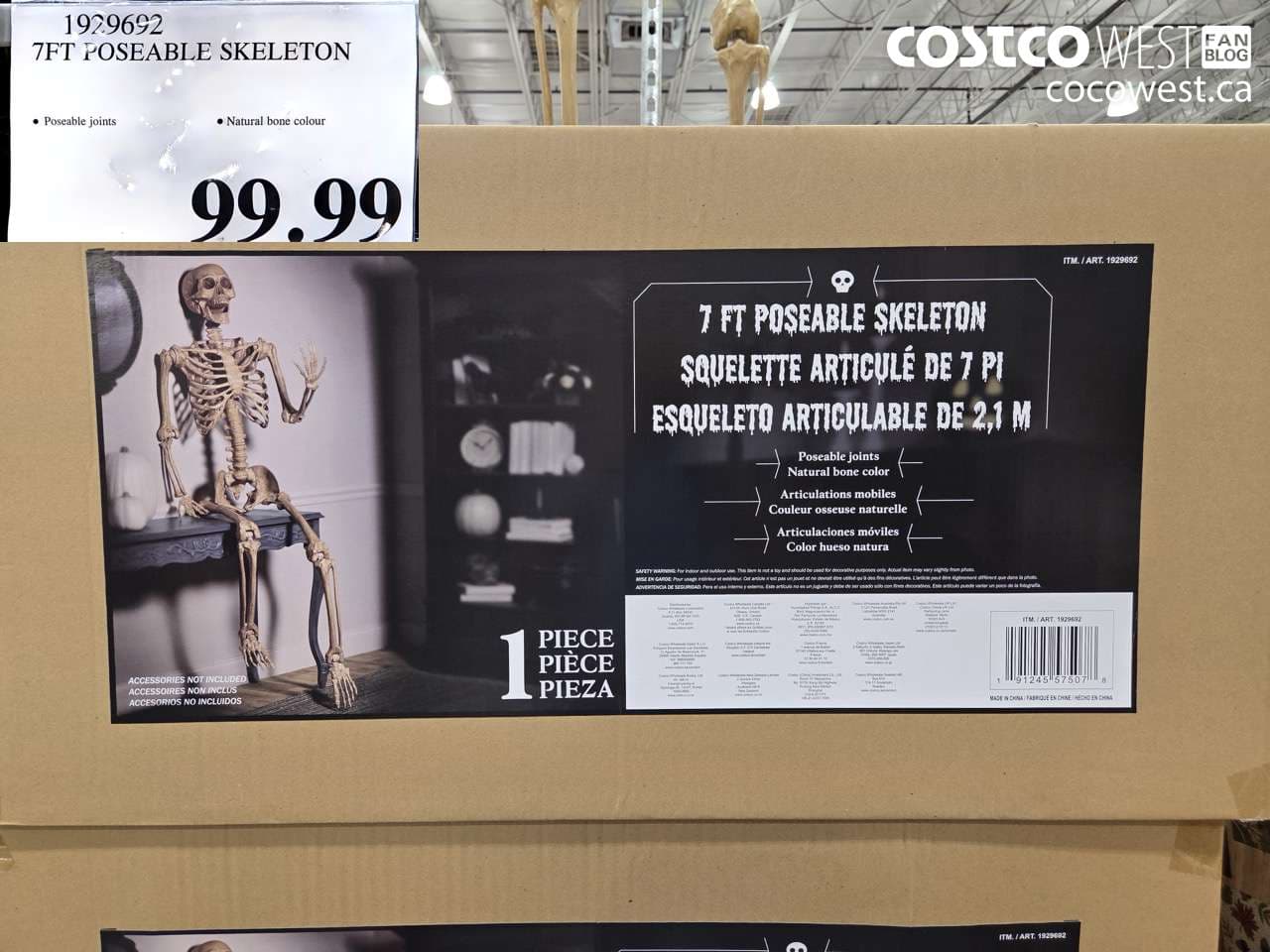 7FT POSEABLE SKELETON