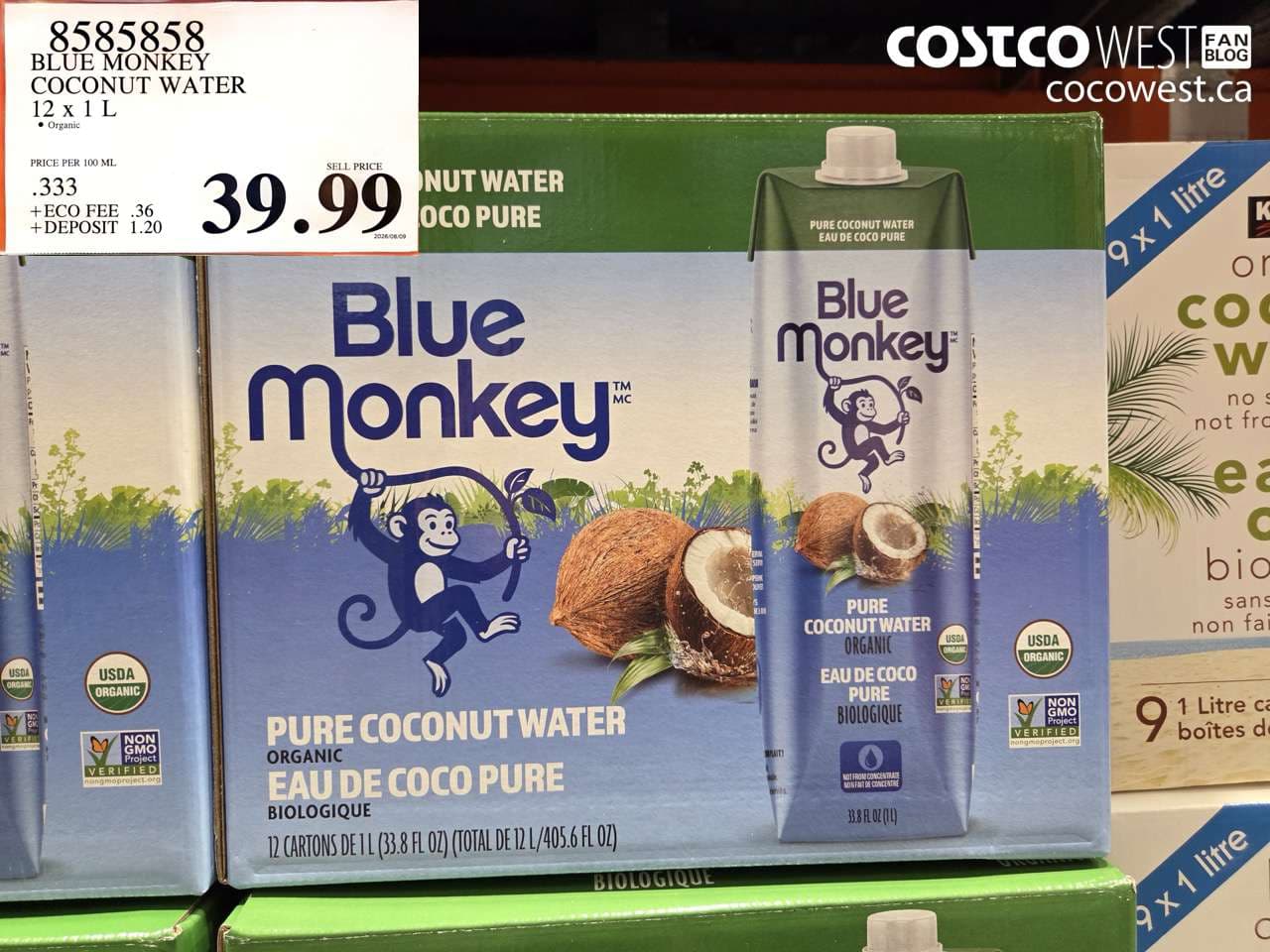 BLUE MONKEY COCONUT WATER 12 X 1 L