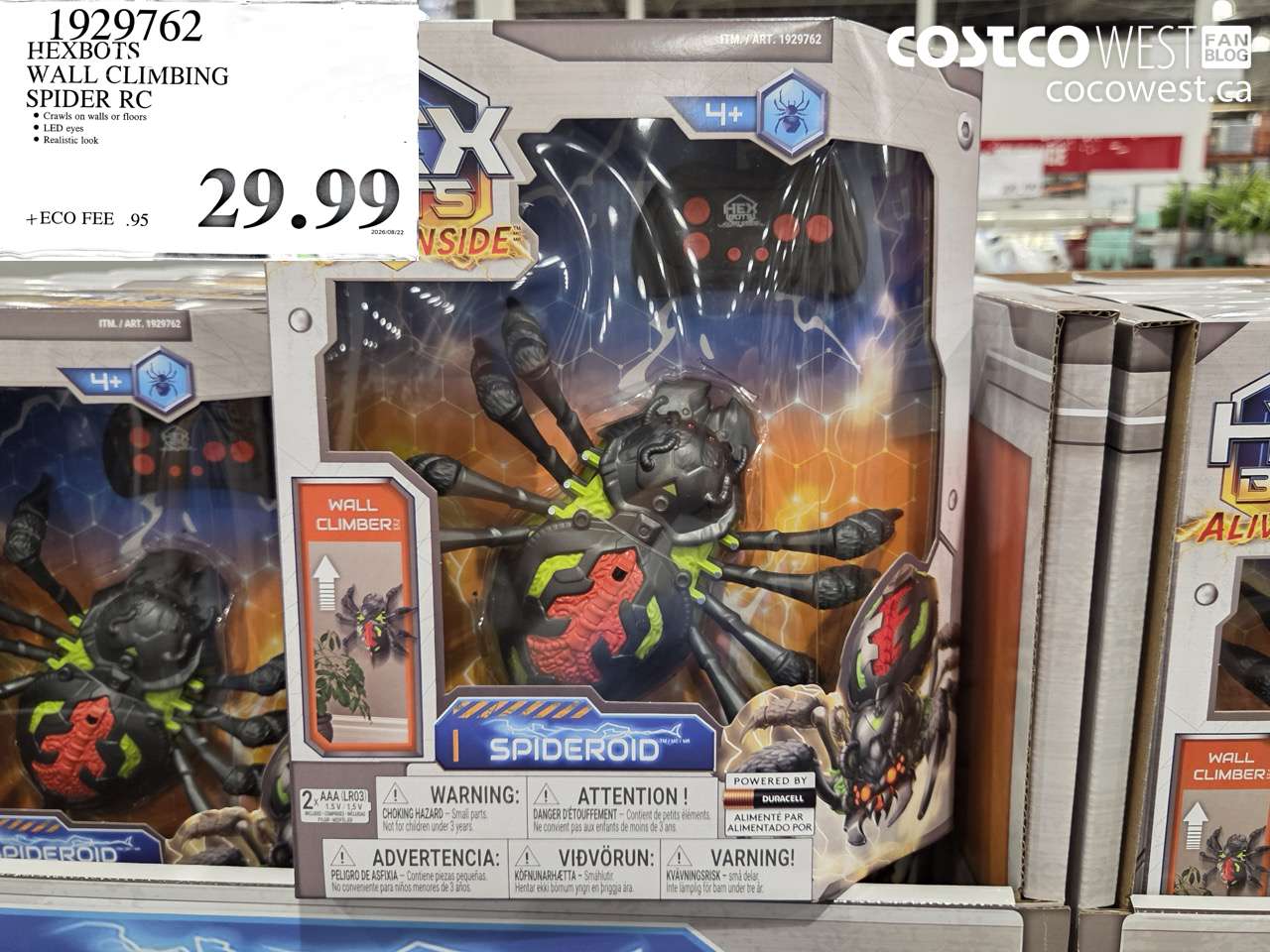 HEXBOTS WALL CLIMBING SPIDER RC