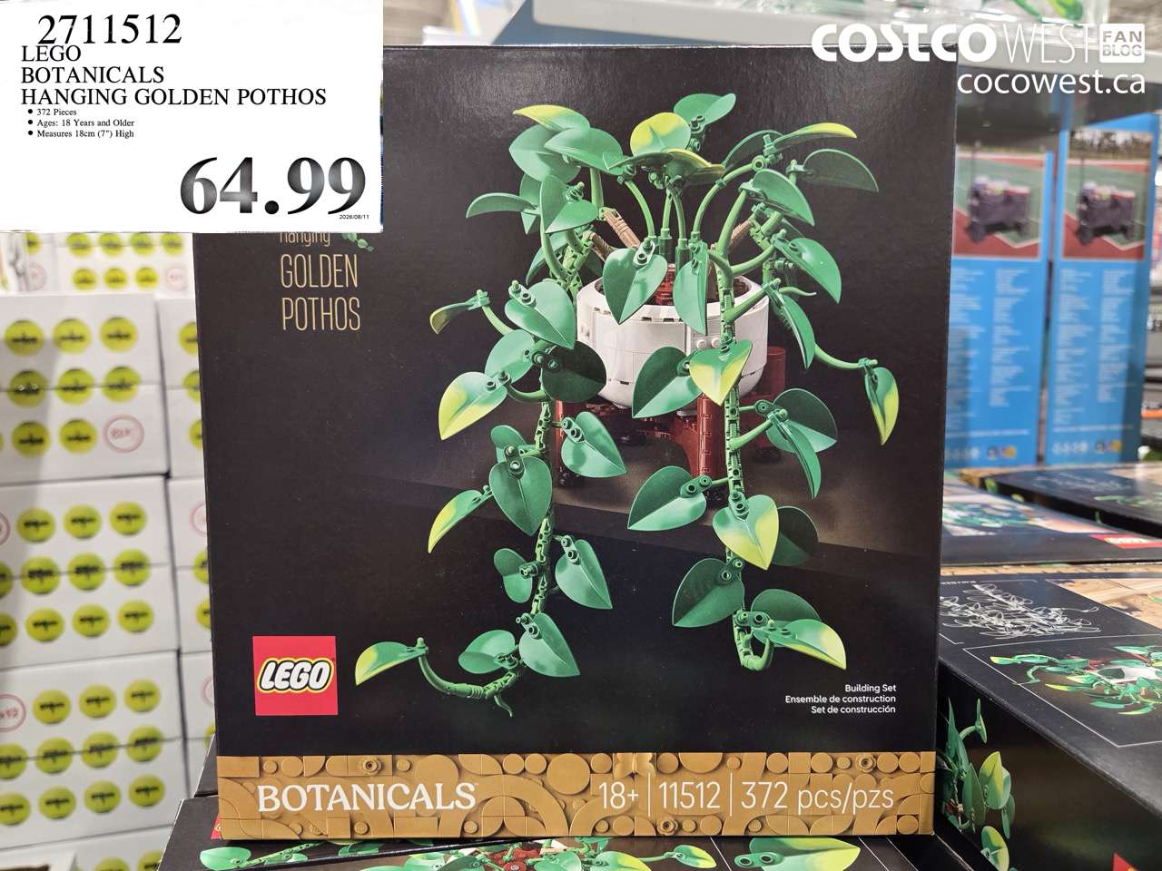 LEGO BOTANICALS HANGING GOLDEN POTHOS