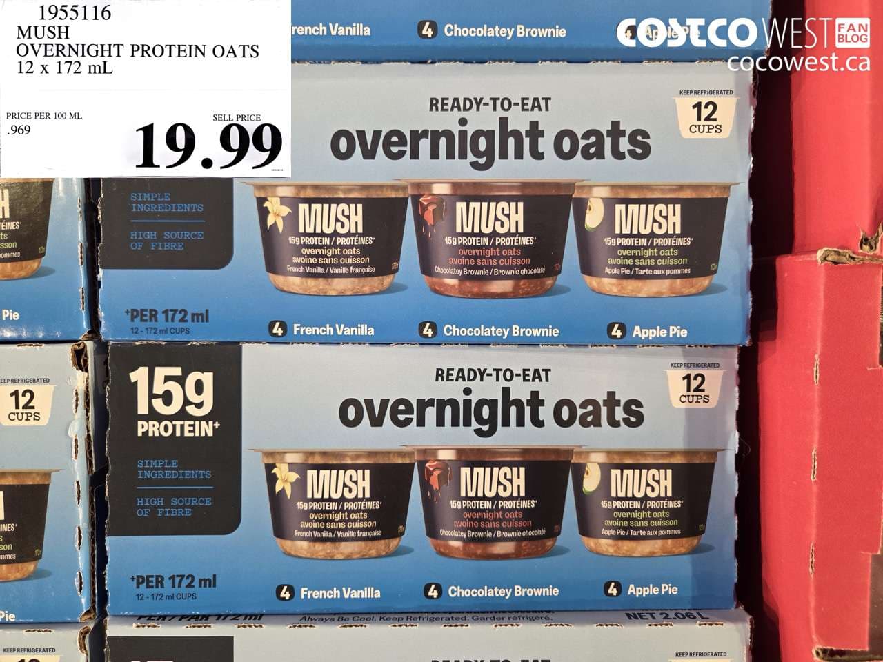 MUSH OVERNIGHT PROTEIN OATS 12 X 172 ML