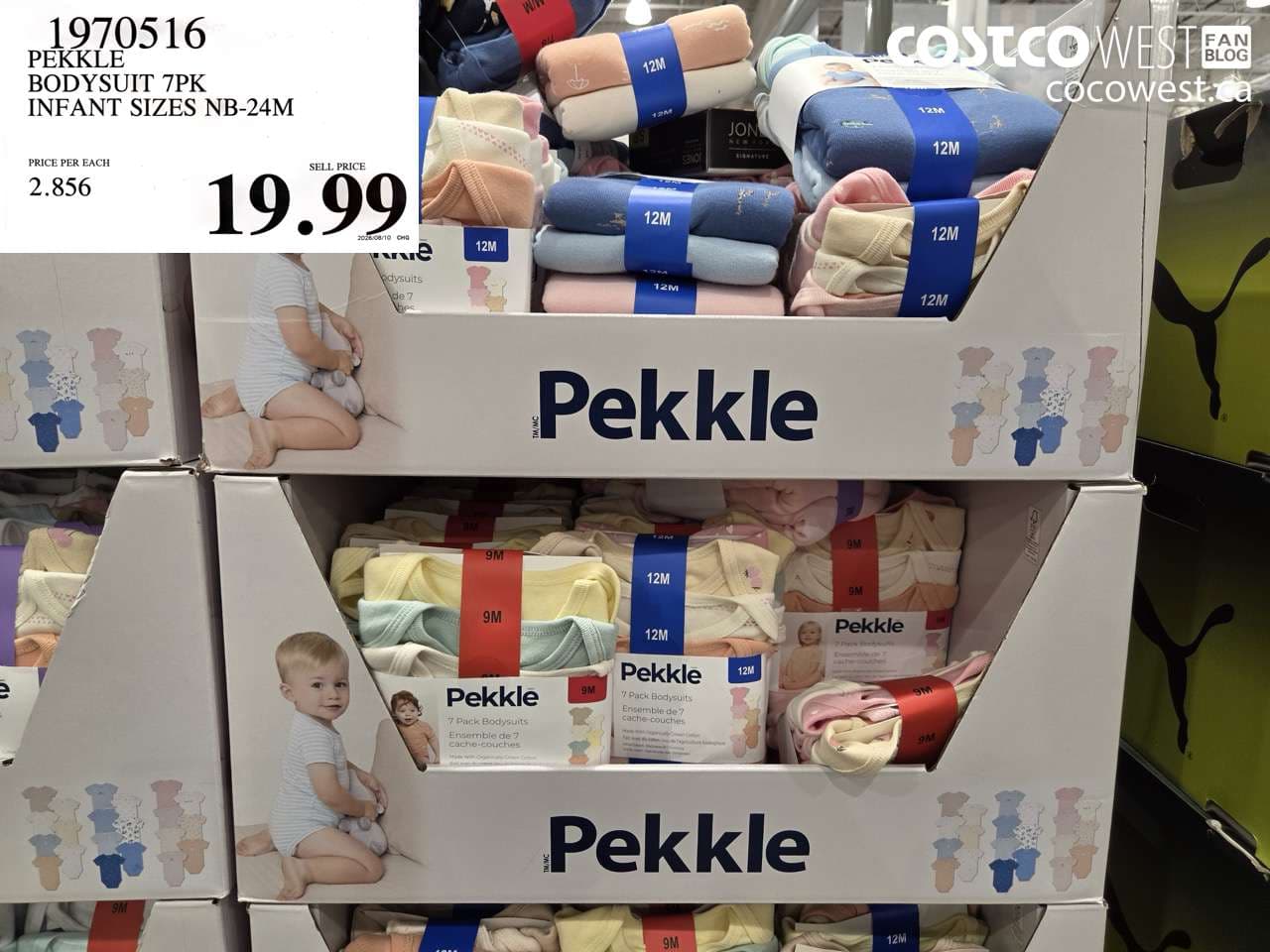 pekkle bodysuit 7pk infant sizes nb24m