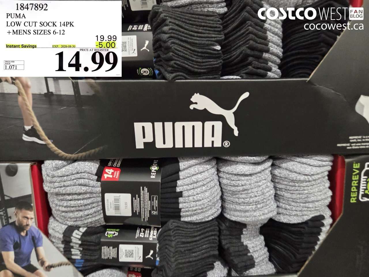 PUMA LOW CUT SOCK 14PK +MENS SIZES 6-12