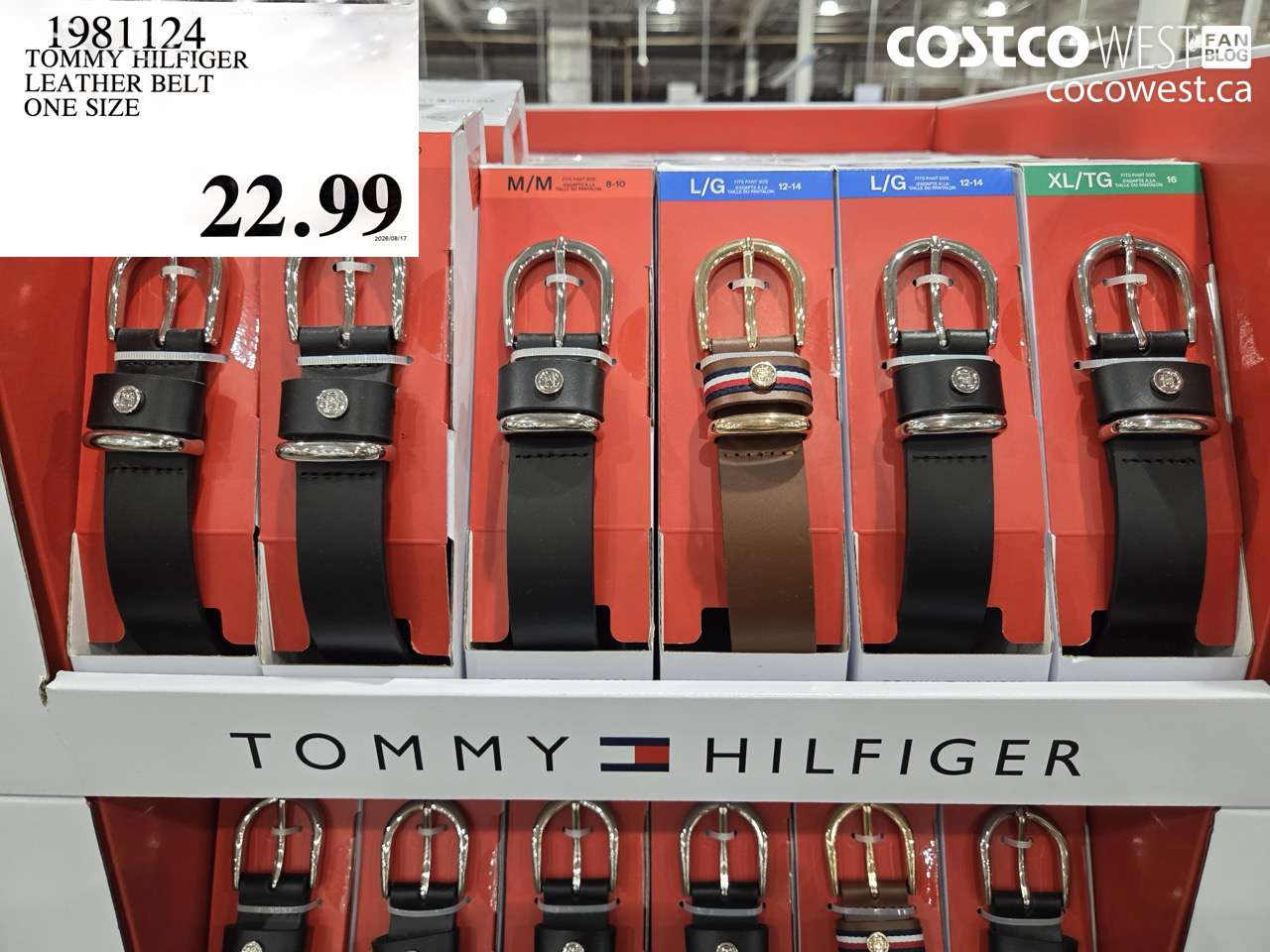 tommy hilfiger leather belt one size