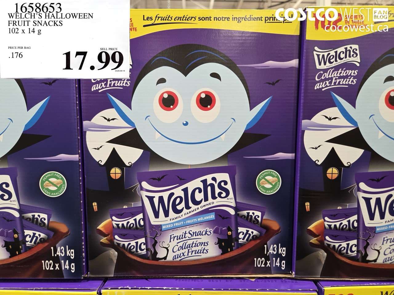 WELCH’S HALLOWEEN FRUIT SNACKS 102 X 14 G