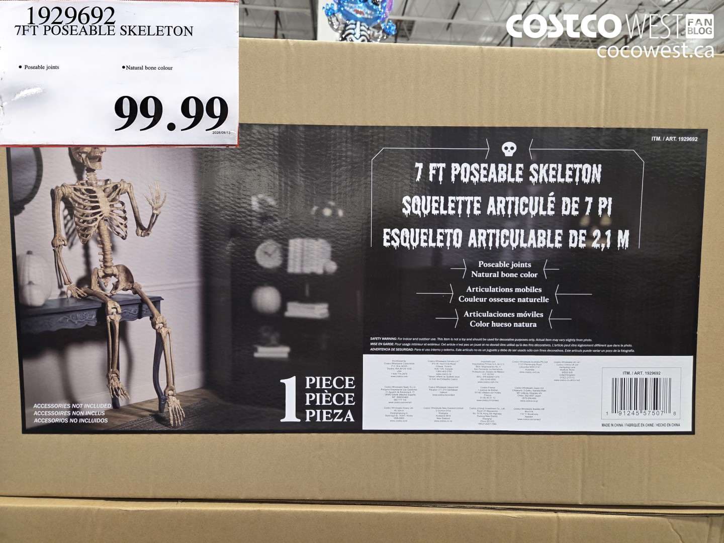 7ft poseable skeleton