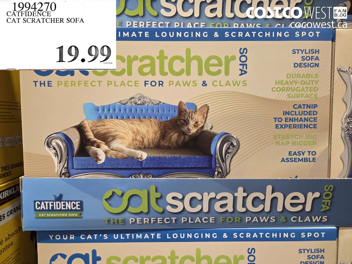 CATFIDENCE CAT SCRATCHER SOFA