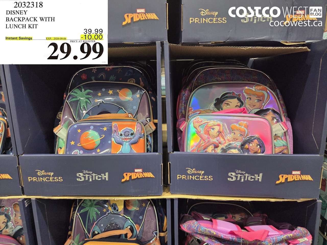 disney backpack with lunch kit