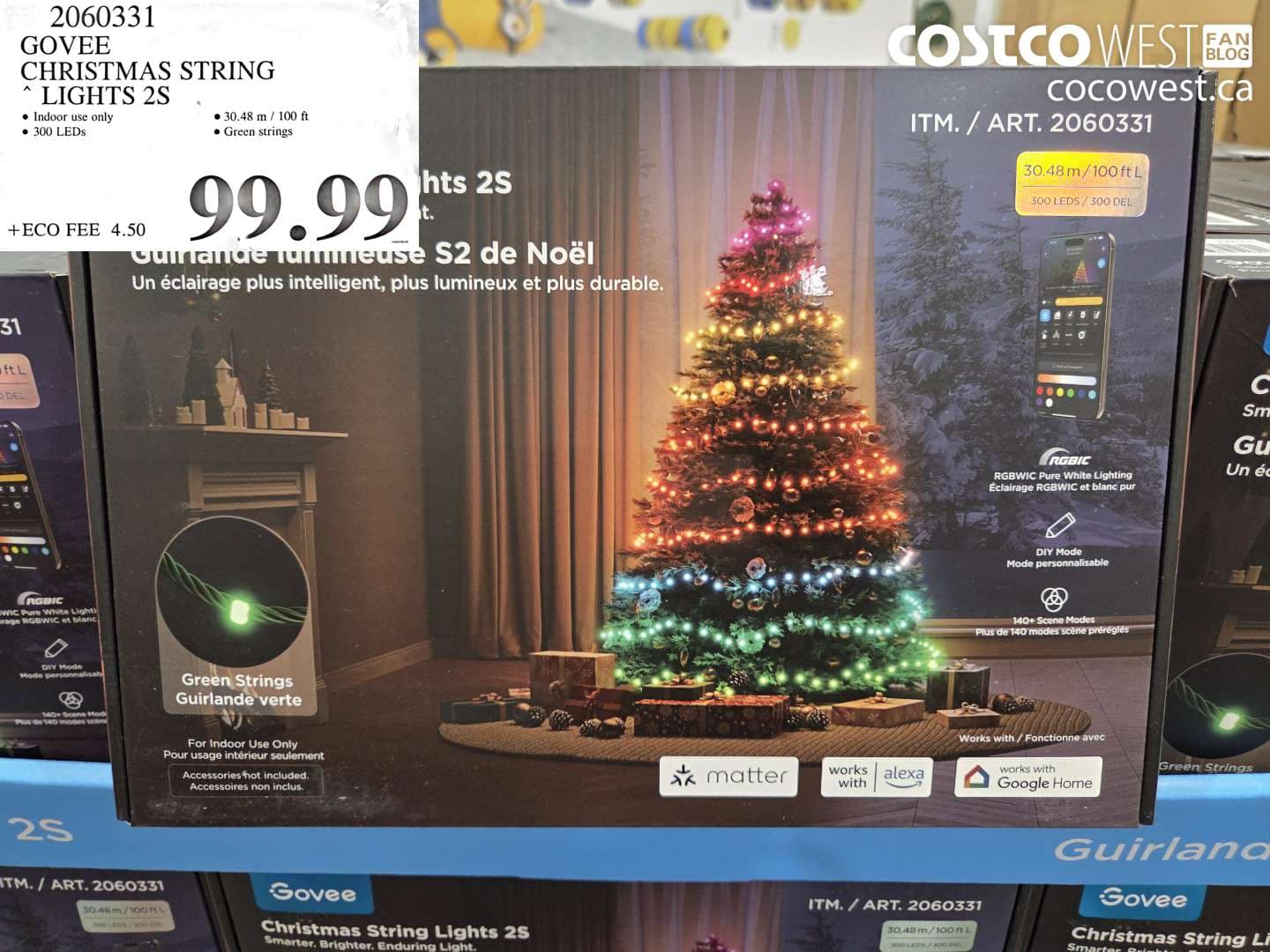 GOVEE CHRISTMAS STRING LIGHTS 2S