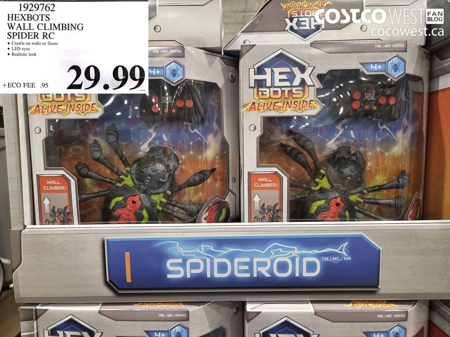 hexbots wall climbing spider rc