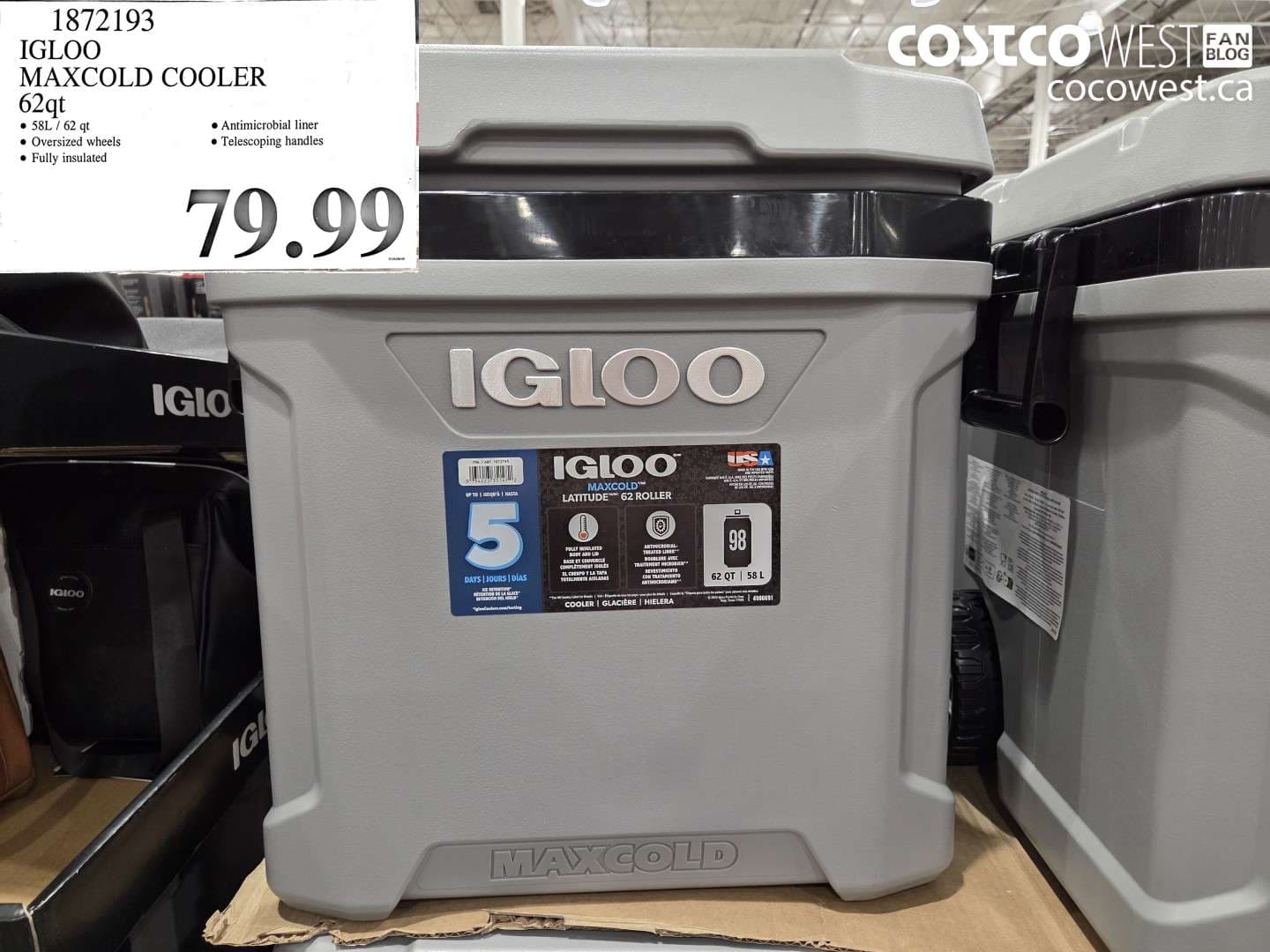 igloo maxcold cooler 62qt
