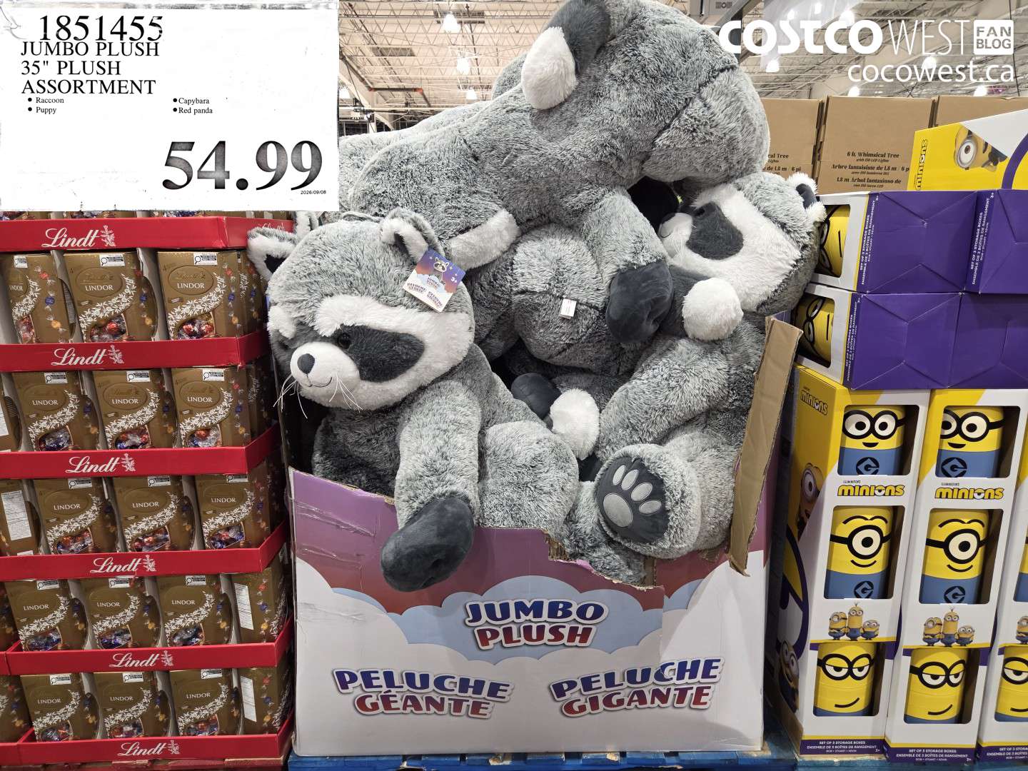JUMBO PLUSH